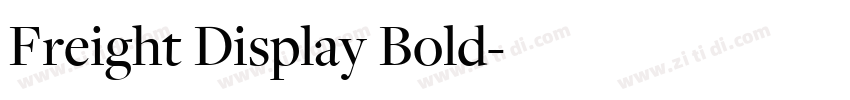 Freight Display Bold字体转换